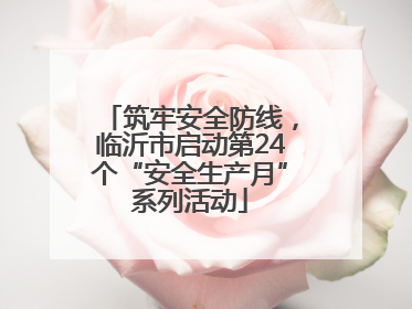 筑牢安全防线，临沂市启动第24个“安全生产月”系列活动