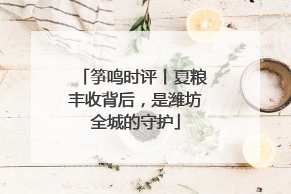 筝鸣时评丨夏粮丰收背后，是潍坊全城的守护