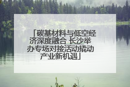碳基材料与低空经济深度融合 长沙举办专场对接活动撬动产业新机遇