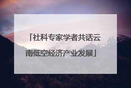 社科专家学者共话云南低空经济产业发展