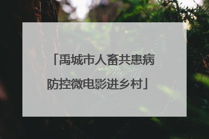 禹城市人畜共患病防控微电影进乡村