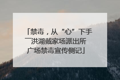 禁毒，从“心”下手――洪湖戴家场派出所广场禁毒宣传侧记