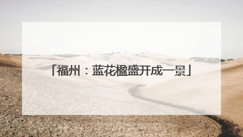 福州：蓝花楹盛开成一景