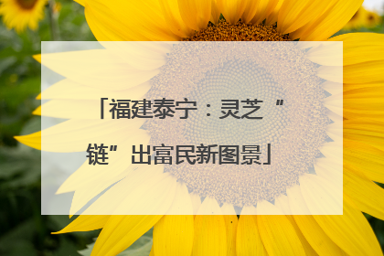 福建泰宁：灵芝“链”出富民新图景