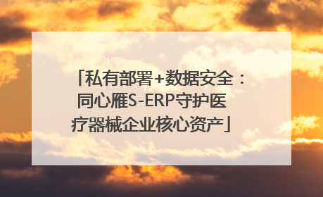 私有部署+数据安全：同心雁S-ERP守护医疗器械企业核心资产