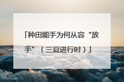 种田能手为何从容“放手”（三夏进行时）
