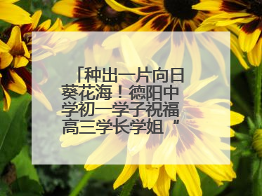 种出一片向日葵花海！德阳中学初一学子祝福高三学长学姐“一举夺魁”