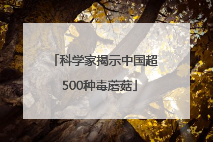 科学家揭示中国超500种毒蘑菇