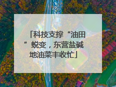科技支撑“油田”蜕变，东营盐碱地油菜丰收忙