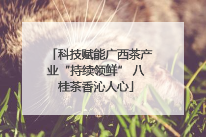 科技赋能广西茶产业“持续领鲜” 八桂茶香沁人心