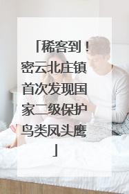 稀客到！密云北庄镇首次发现国家二级保护鸟类凤头鹰
