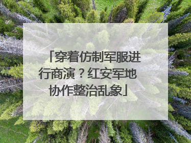 穿着仿制军服进行商演？红安军地协作整治乱象