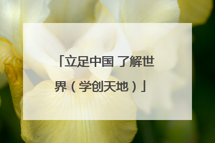 立足中国 了解世界（学创天地）