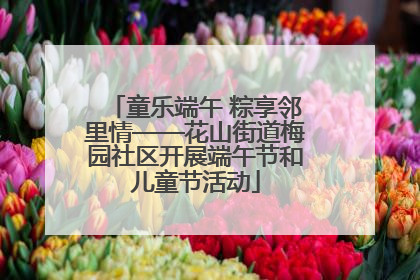 童乐端午 粽享邻里情——花山街道梅园社区开展端午节和儿童节活动
