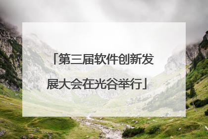 第三届软件创新发展大会在光谷举行