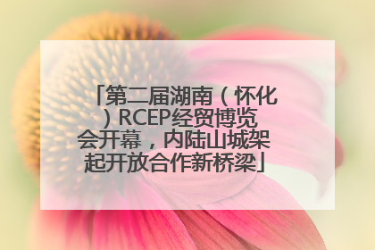第二届湖南（怀化）RCEP经贸博览会开幕，内陆山城架起开放合作新桥梁