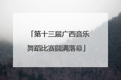 第十三届广西音乐舞蹈比赛圆满落幕