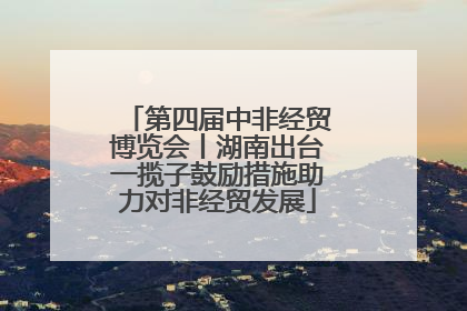 第四届中非经贸博览会丨湖南出台一揽子鼓励措施助力对非经贸发展