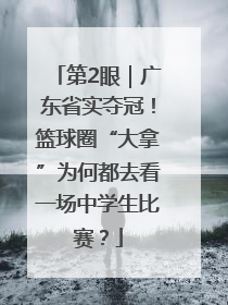 第2眼｜广东省实夺冠！篮球圈“大拿”为何都去看一场中学生比赛？