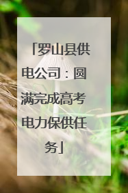 罗山县供电公司：圆满完成高考电力保供任务