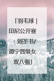 羽毛球｜印尼公开赛：刘圣书/谭宁晋级女双八强