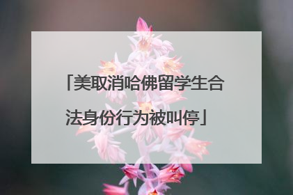美取消哈佛留学生合法身份行为被叫停