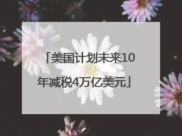 美国计划未来10年减税4万亿美元