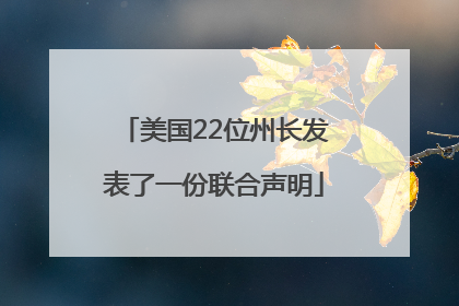 美国22位州长发表了一份联合声明