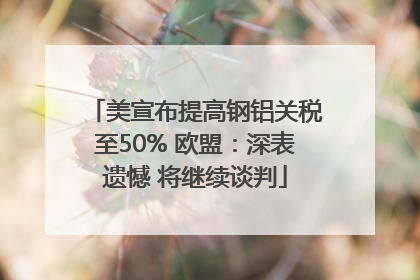 美宣布提高钢铝关税至50% 欧盟：深表遗憾 将继续谈判