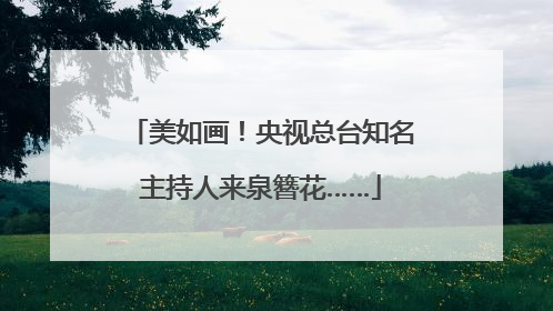 美如画！央视总台知名主持人来泉簪花……