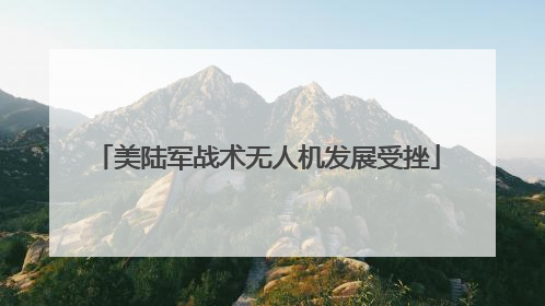 美陆军战术无人机发展受挫