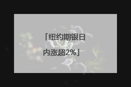 纽约期银日内涨超2%