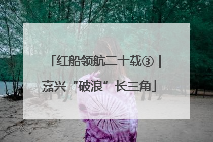 红船领航二十载③｜嘉兴“破浪”长三角
