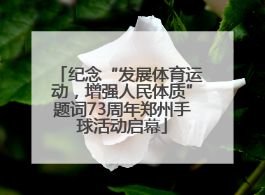 纪念“发展体育运动，增强人民体质”题词73周年郑州手球活动启幕
