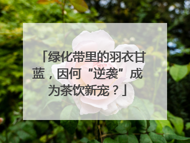 绿化带里的羽衣甘蓝，因何“逆袭”成为茶饮新宠？