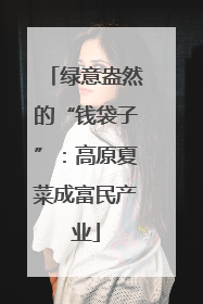 绿意盎然的“钱袋子”：高原夏菜成富民产业