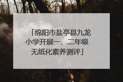 绵阳市盐亭县九龙小学开展一、二年级无纸化素养测评