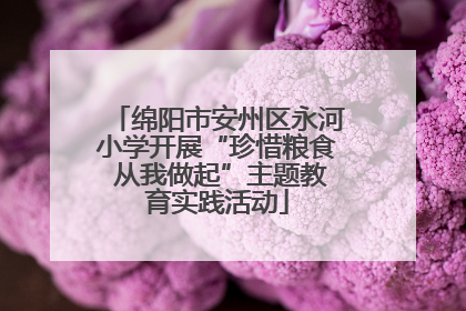 绵阳市安州区永河小学开展“珍惜粮食 从我做起”主题教育实践活动