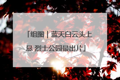 组图｜蓝天白云头上悬 烈士公园最出片