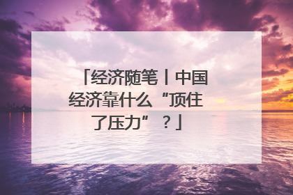 经济随笔丨中国经济靠什么“顶住了压力”？