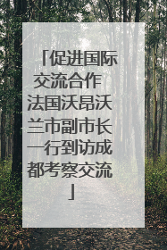 促进国际交流合作 法国沃昂沃兰市副市长一行到访成都考察交流