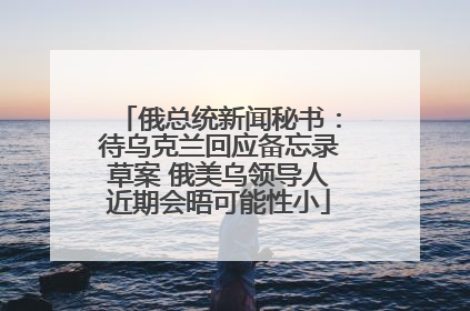 俄总统新闻秘书：待乌克兰回应备忘录草案 俄美乌领导人近期会晤可能性小