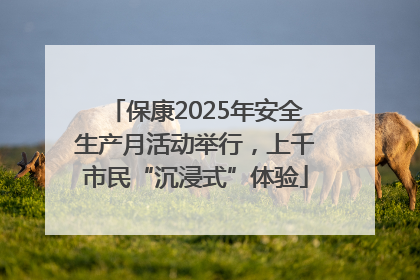 保康2025年安全生产月活动举行，上千市民“沉浸式”体验