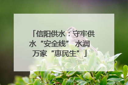 信阳供水：守牢供水“安全线” 水润万家“惠民生”