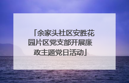 余家头社区安胜花园片区党支部开展廉政主题党日活动