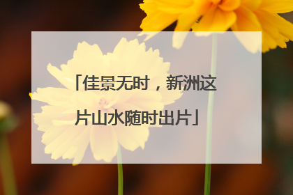 佳景无时，新洲这片山水随时出片