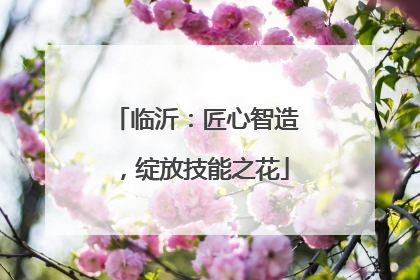 临沂：匠心智造，绽放技能之花