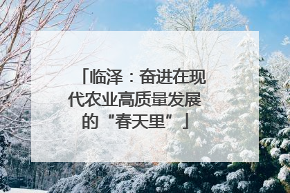 临泽：奋进在现代农业高质量发展的“春天里”