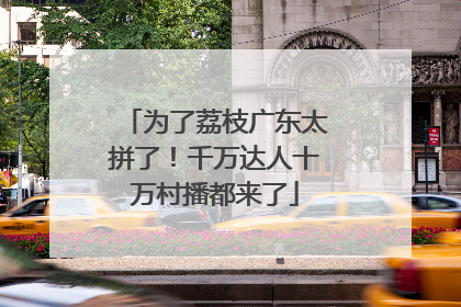 为了荔枝广东太拼了！千万达人十万村播都来了