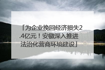 为企业挽回经济损失2.4亿元！安徽深入推进法治化营商环境建设